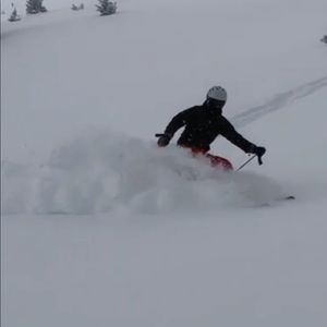 Meet your Posher, Evan